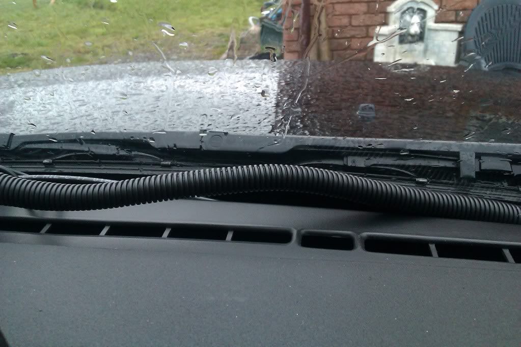 IMAG0093.jpg
