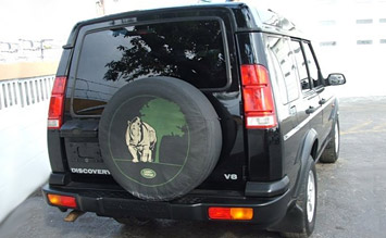 rear-view-2001-land-rover-discovery-vidin-pic-2-121.jpeg