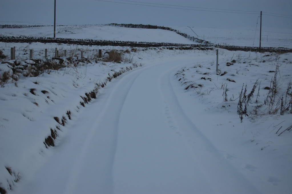 DSC_0015.jpg