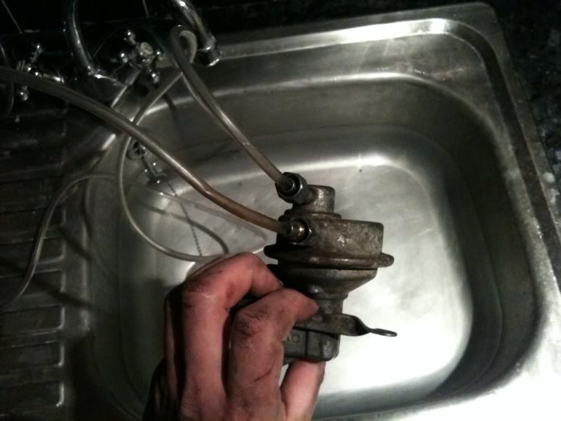 photo-10.jpg