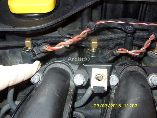 1W942B6l.jpg