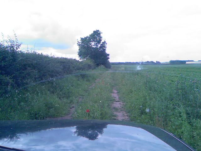 Photo-0009.jpg