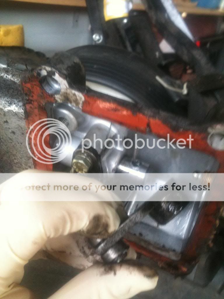 IMG_0784_zpsb8414ead.jpg