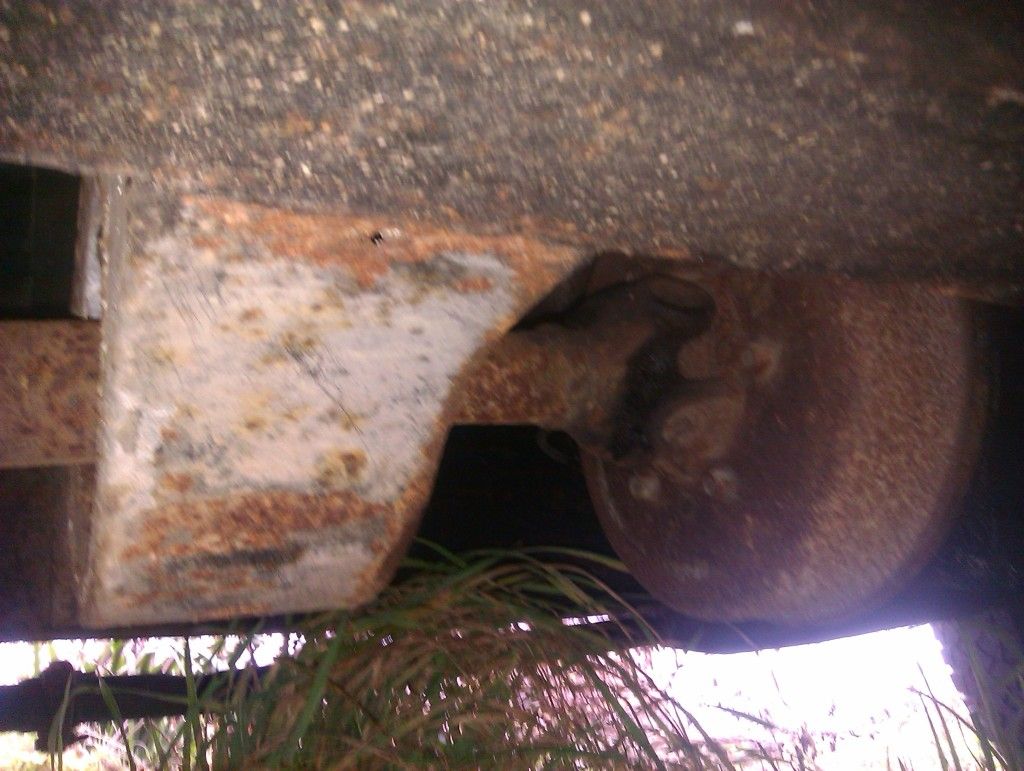 IMAG0214.jpg