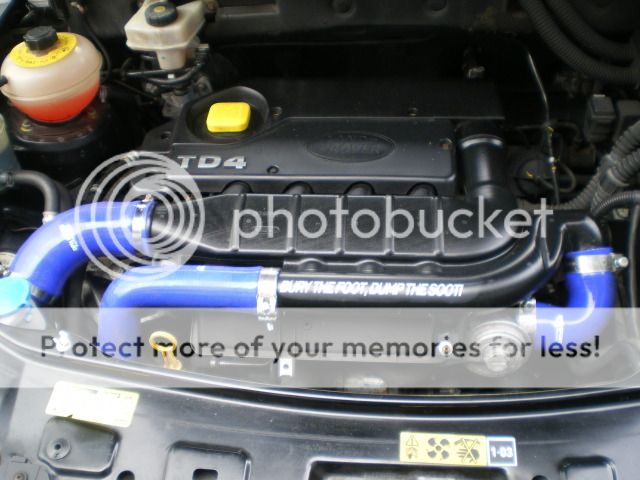 IMGP3612.jpg