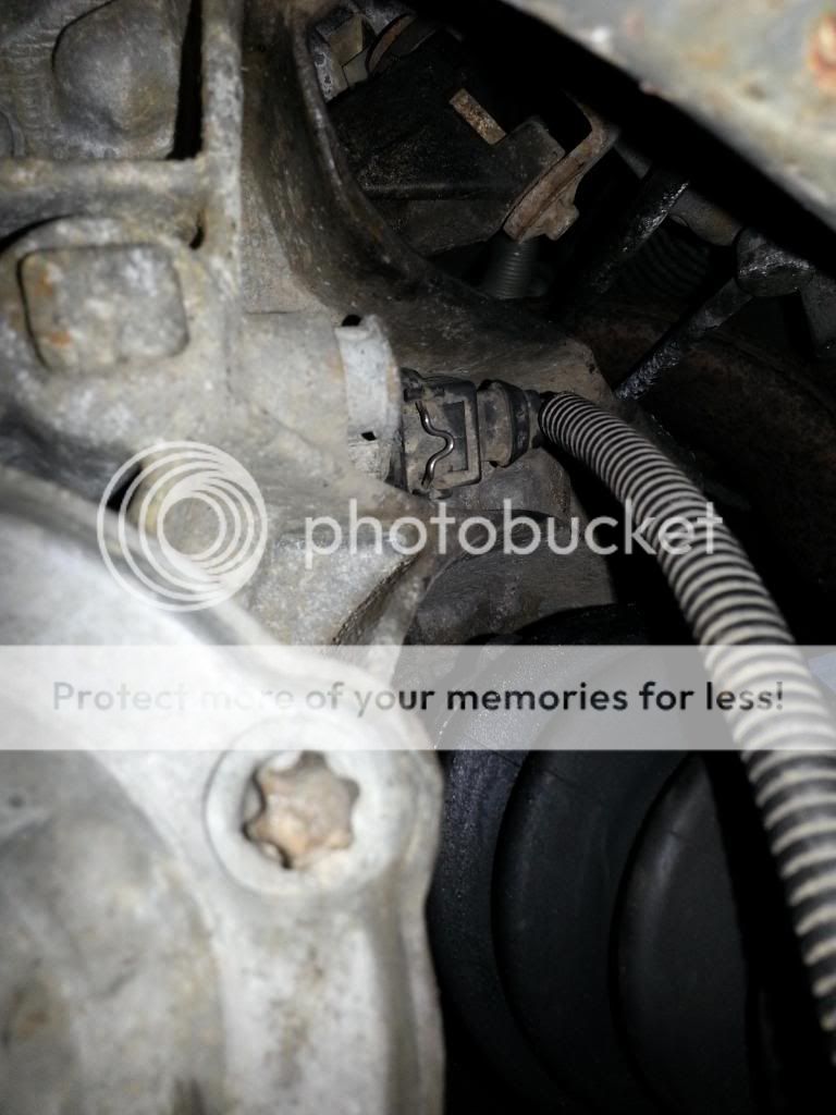 20130219_164942_zps7b216f8e.jpg