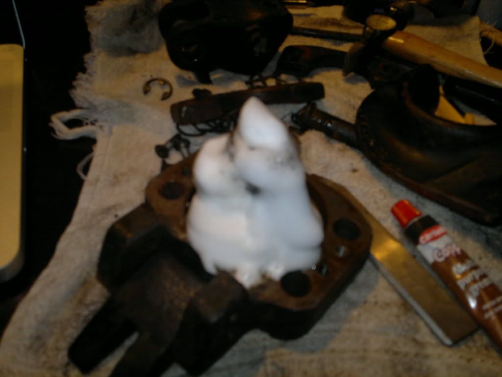 19032012665.jpg