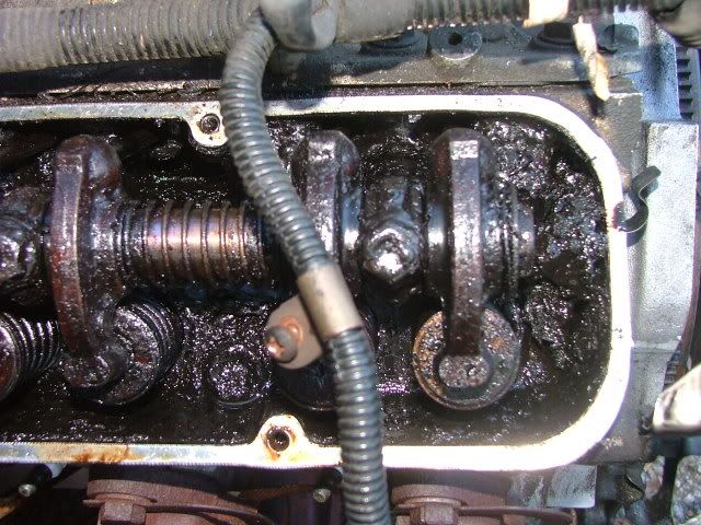 DSCF7121.jpg