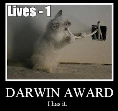 Darwin-Award.jpg