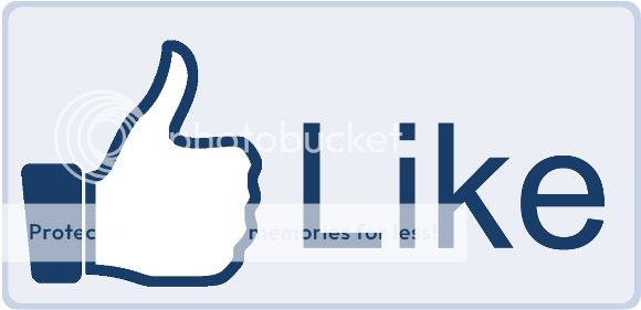 Facebook-Like-Button-big.jpg