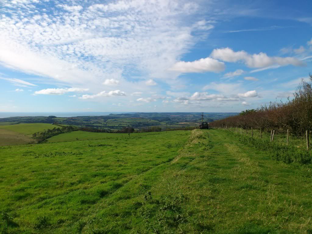 DSC_2216.jpg