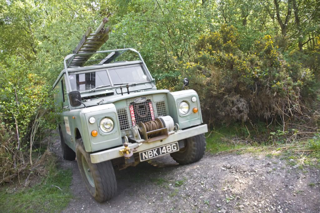 greenlaning-8.jpg