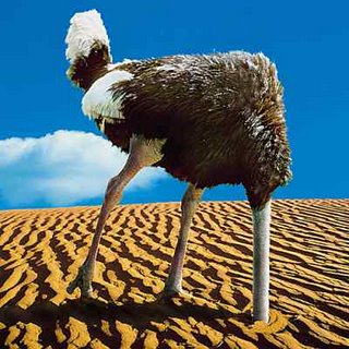 ostrich-with-head-in-sand.jpg